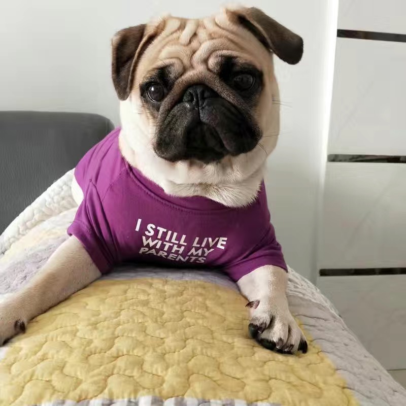 Kaos Vest Anjing Bulldog Pranc - Summer Clothing In French ulasan dan harga