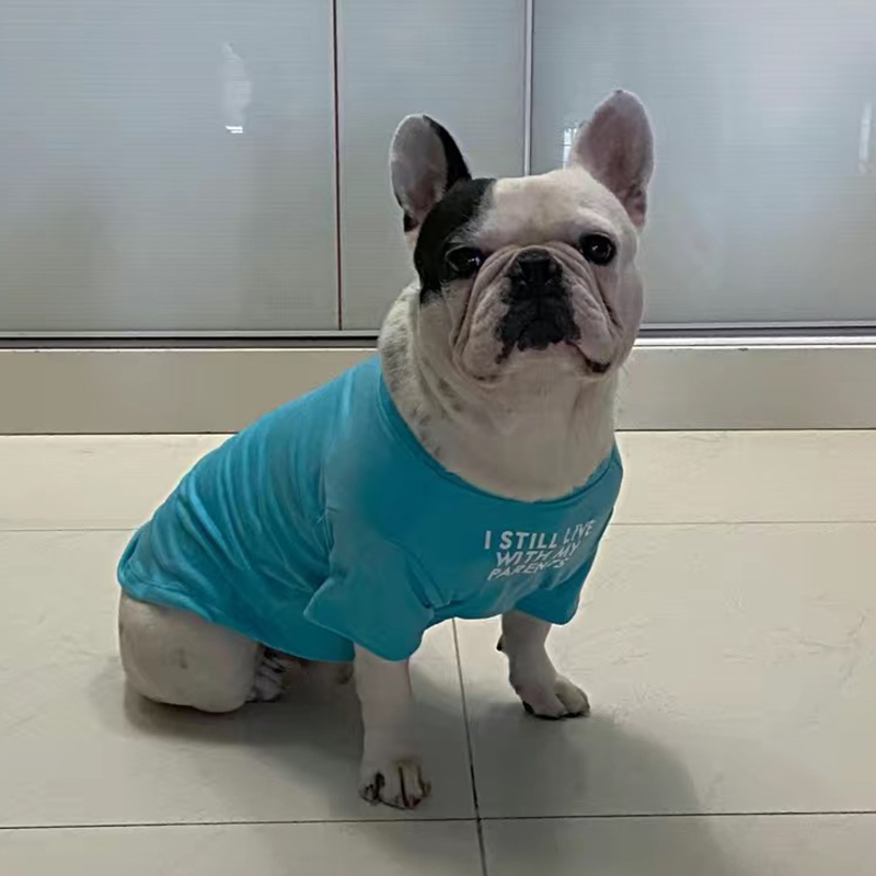 Kaos Vest Anjing Bulldog Pranc - Summer Clothing In French ulasan dan harga