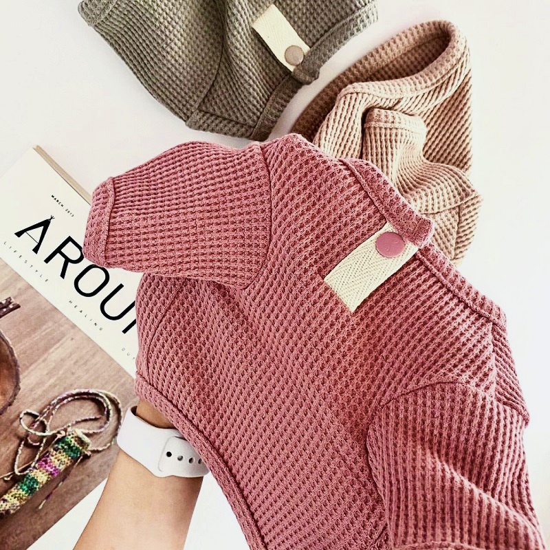 Kaus Hewan Peliharaan Musim Pa - Summer Clothing In French ulasan dan harga